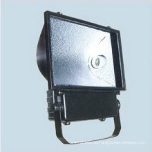 Floodlight (DS-301)